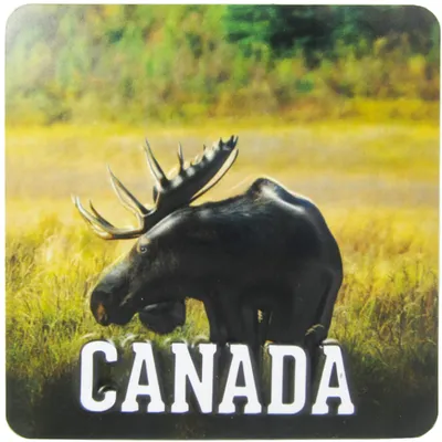 Canada Moose Puff Magnet