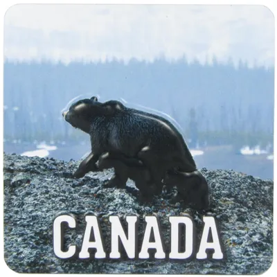 Canada Bear Puff Magnet