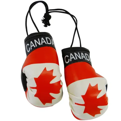 Car Rearview Mirror Hanging Canada Boxing Gloves