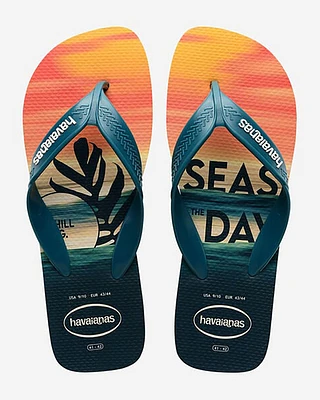 Chinelos Havaianas SURF Sand/Petroleum