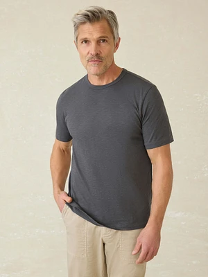 Sunwashed Tee - Graphite