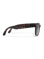 All Day Foldable Sunglasses