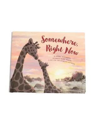 Somewhere Right Now Book