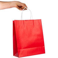 Solid Color Large Kraft Bags 6-Count