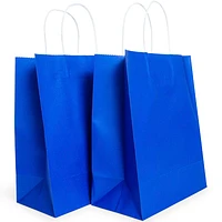 Solid Color Large Kraft Bags 6-Count