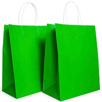 Solid Color Large Kraft Bags 6-Count