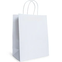 Solid Color Large Kraft Bags 6-Count