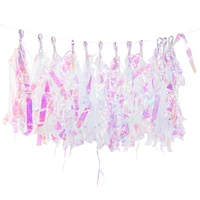 Iridescent Foil Paper Tassel Banner Decoration 10ft Long