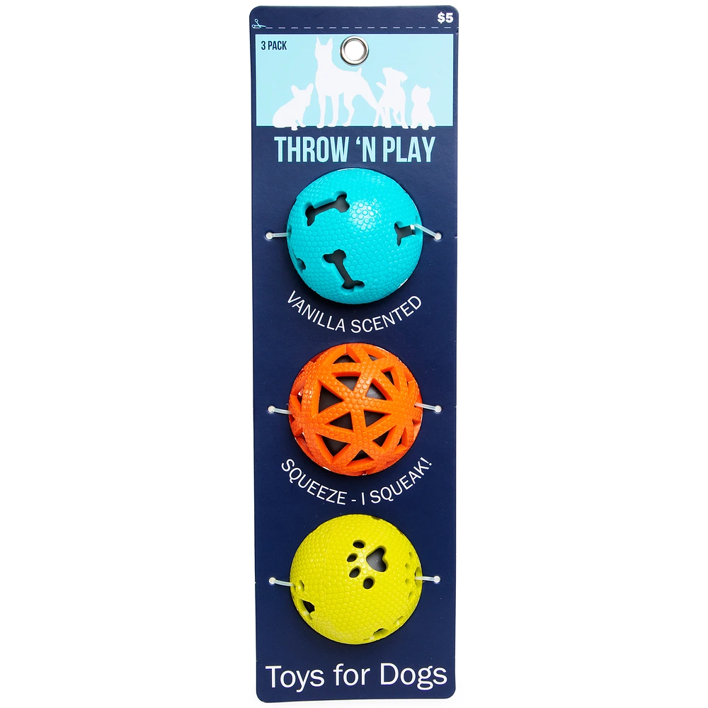 Squeaky Ball Dog Toys 3-Pack
