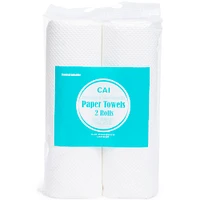 Paper Towels 2-Pack