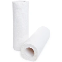 Paper Towels 2-Pack