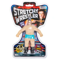 Stretchy Wrestler™ Figure