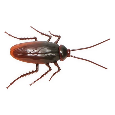 Zuru™ Robo Alive Crawling Cockroach