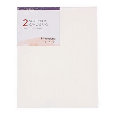 stretched canvas 2-pack 8in x 10in