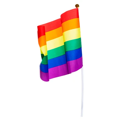 Mini Pride Flag 11.75in
