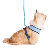 Mesh Pet Harness