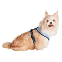 Mesh Pet Harness