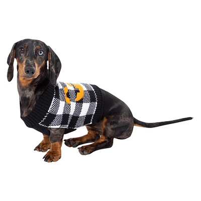 cute halloween pet sweater