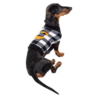 cute halloween pet sweater