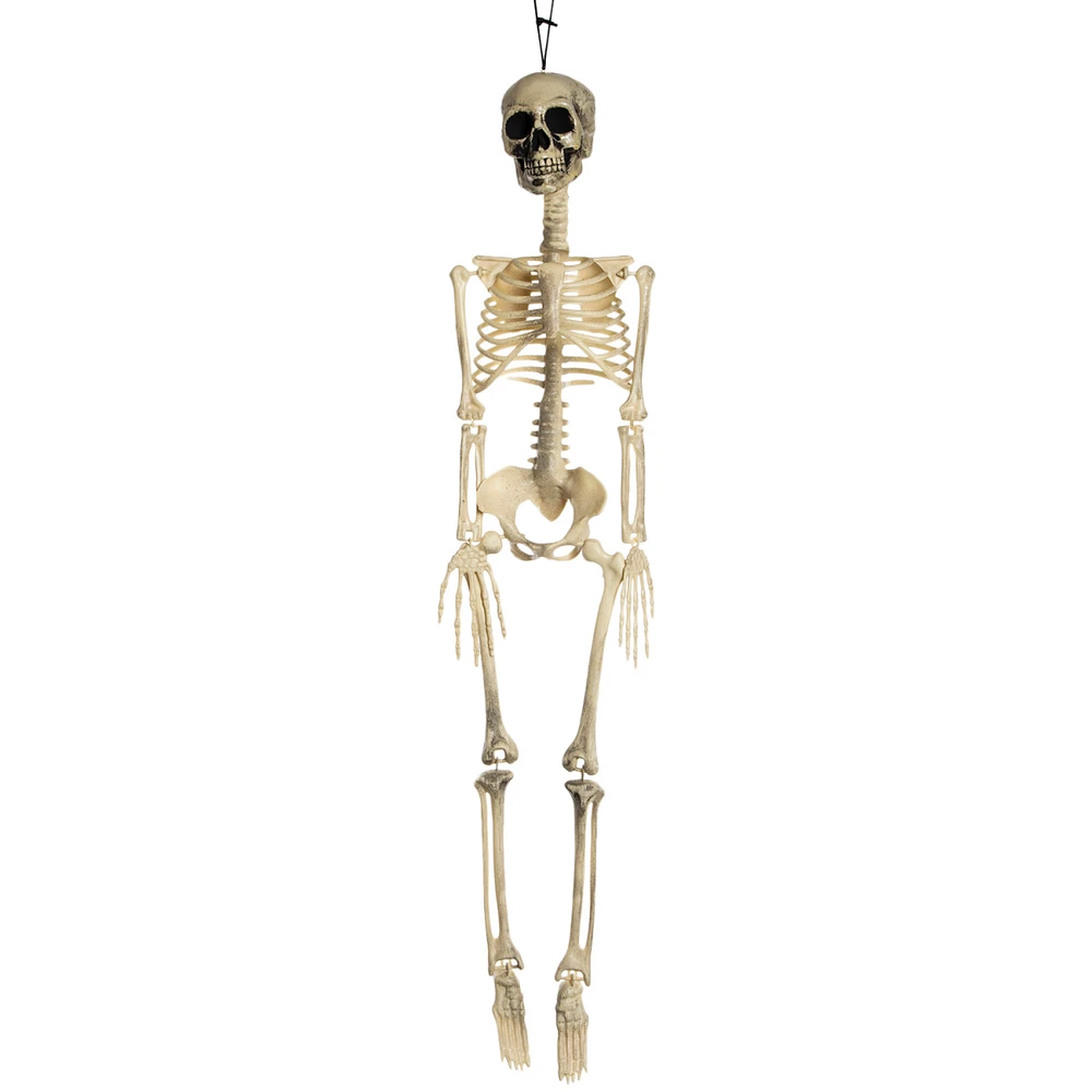 3ft hanging halloween skeleton decor