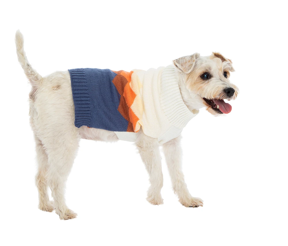 cozy winter pet sweater