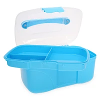 storage box with flip-top lid