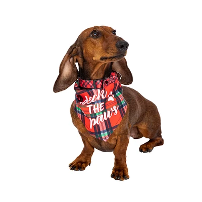 holiday pet collar & matching bandana set