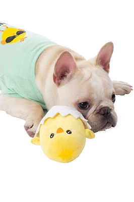 spring buds plush chick dog toy with squeaker