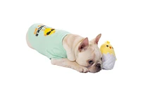 spring buds plush chick dog toy with squeaker