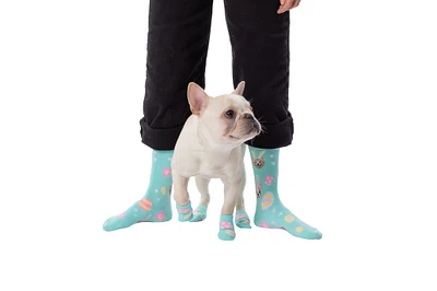 easter dog & owner socks matching set