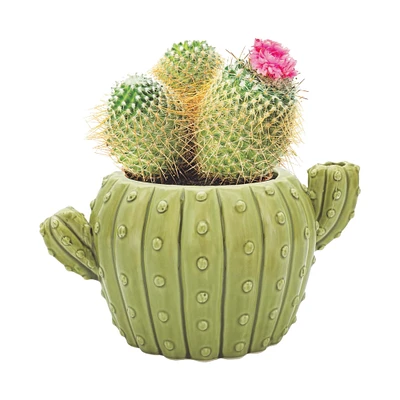 cactus grow kit in cactus-shaped pot