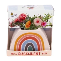 moss rose grow kit in rainbow planter