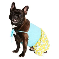 summer pet dress - lemons