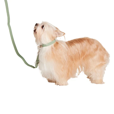 4ft silicone pet leash