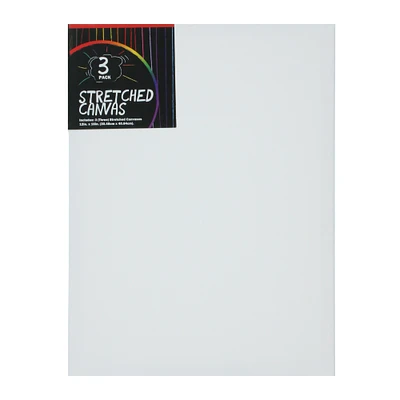 3-pack stretched canvases 12in x 16in