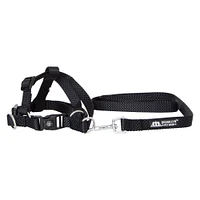 dog harness & 4ft leash set - medium