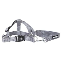 harness & lead set for dogs