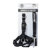 dog harness & lead set