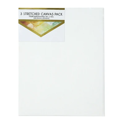 stretched canvas 8in x 10in 3-pack