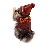 'pumpkin spice' fall pet sweater