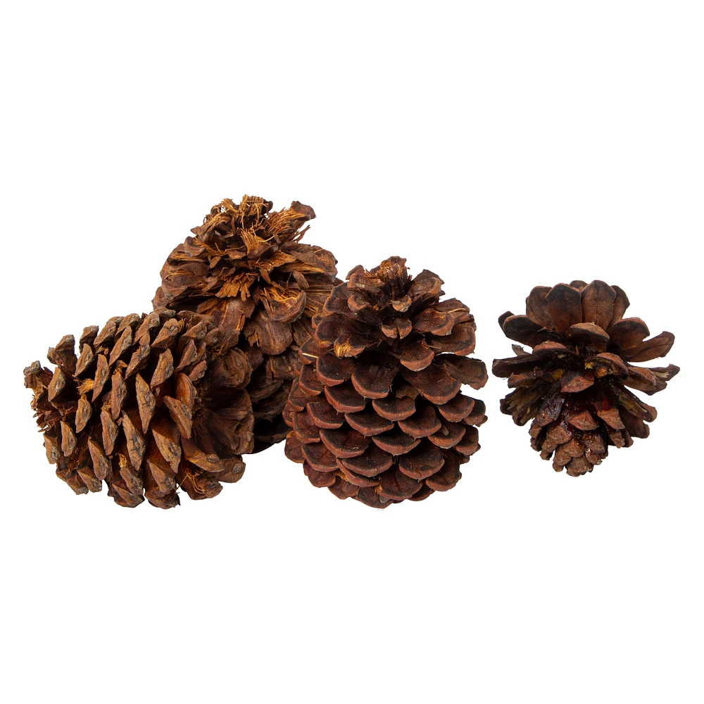 cinnamon scented pinecones 6-count