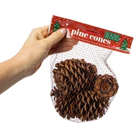 cinnamon scented pinecones 6-count