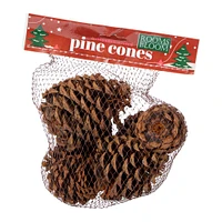 cinnamon scented pinecones 6-count