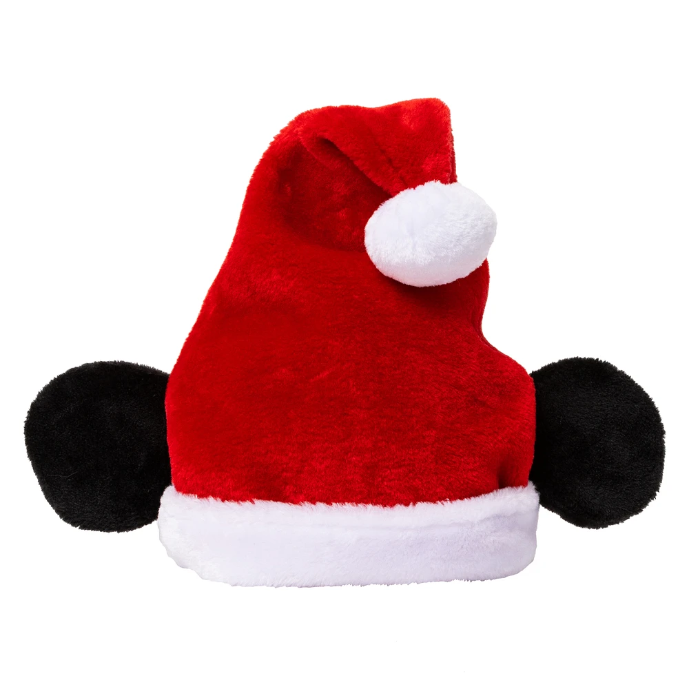 Character Santa Hat