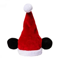 Character Santa Hat