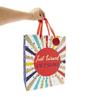 large gift bag 12.75in x 10.375in