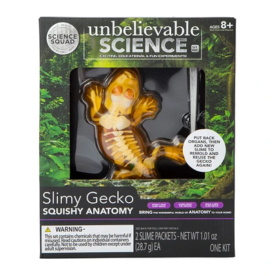 science squad® slimy gecko squishy anatomy kit