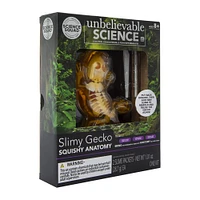 science squad® slimy gecko squishy anatomy kit