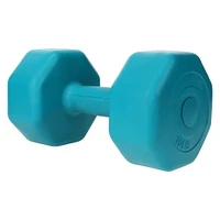 10lb dumbbell