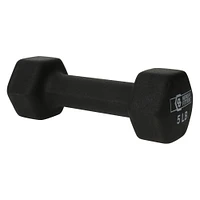 5lb dumbbell